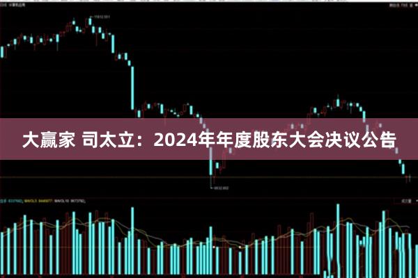 大赢家 司太立：2024年年度股东大会决议公告