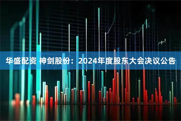 华盛配资 神剑股份：2024年度股东大会决议公告