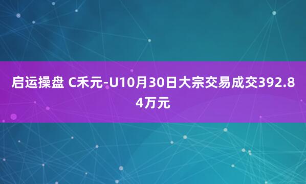 启运操盘 C禾元-U10月30日大宗交易成交392.84万元
