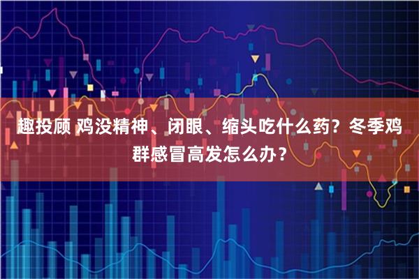 趣投顾 鸡没精神、闭眼、缩头吃什么药？冬季鸡群感冒高发怎么办？